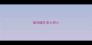 猫咪瞳孔变大变小