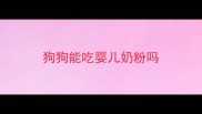狗狗能吃婴儿奶粉吗