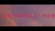 狗狗接种疫苗后出现腹泻问题怎么办专业兽医教你应对指南
