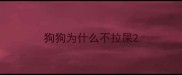 狗狗为什么不拉屎
