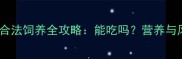 宠物鳄鱼合法饲养全攻略能吃吗营养与风险