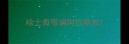 哈士奇带偏阿拉斯加