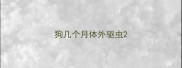 狗几个月体外驱虫