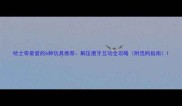 哈士奇最爱的6种玩具推荐解压磨牙互动全攻略附选购指南