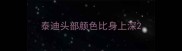 泰迪头部颜色比身上深