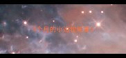 3个月的小边牧体重
