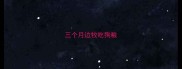 三个月边牧吃狗粮