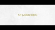 为什么拉布拉多爱吃