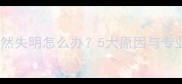 猫咪眼睛突然失明怎么办5大原因与专业应对指南