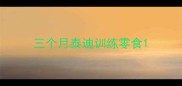 三个月泰迪训练零食