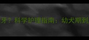 拉布拉多犬多大开始刷牙科学护理指南幼犬期到成年的牙齿清洁全攻略
