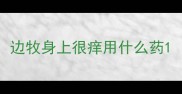 边牧身上很痒用什么药
