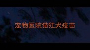 宠物医院猫狂犬疫苗