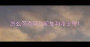 怎么区别阿拉斯加和哈士奇
