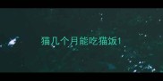 猫几个月能吃猫饭