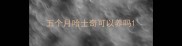 五个月哈士奇可以养吗