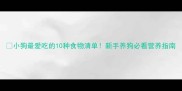 小狗最爱吃的10种食物清单新手养狗必看营养指南