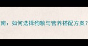 三个月雪纳瑞科学喂养指南如何选择狗粮与营养搭配方案附推荐品牌及喂养技巧
