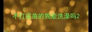不打疫苗的狗能洗澡吗