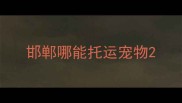 邯郸哪能托运宠物
