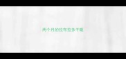 两个月的拉布拉多干呕