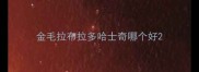 金毛拉布拉多哈士奇哪个好