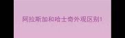 阿拉斯加和哈士奇外观区别