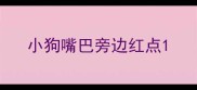 小狗嘴巴旁边红点