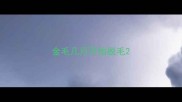 金毛几月开始脱毛