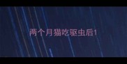 两个月猫吃驱虫后