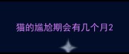 猫的尴尬期会有几个月