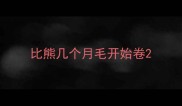 比熊几个月毛开始卷