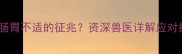哈士奇频繁吐狗粮是肠胃不适的征兆资深兽医详解应对指南与科学喂养技巧
