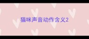 猫咪声音动作含义