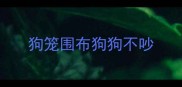 狗笼围布狗狗不吵