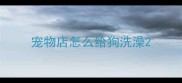 宠物店怎么给狗洗澡
