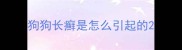 狗狗长癣是怎么引起的