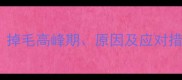 金毛犬换毛期全掉毛高峰期原因及应对措施养宠必看