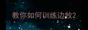 教你如何训练边牧