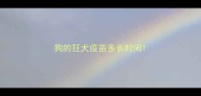 狗的狂犬疫苗多长时间