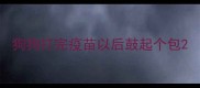 狗狗打完疫苗以后鼓起个包