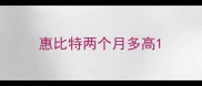 惠比特两个月多高