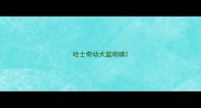 哈士奇幼犬蓝眼睛