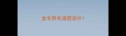 金毛剪毛造型设计
