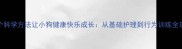 10个科学方法让小狗健康快乐成长从基础护理到行为训练全攻略