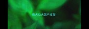 鹿犬幼犬国产疫苗