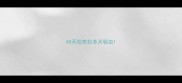 40天拉布拉多犬驱虫