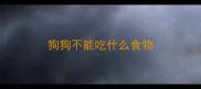 狗狗不能吃什么食物