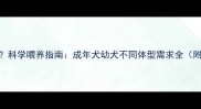 哈士奇一个月吃多少粮科学喂养指南成年犬幼犬不同体型需求全附每日喂食量计算公式
