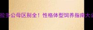 拉布拉多公母区别全性格体型饲养指南大公开